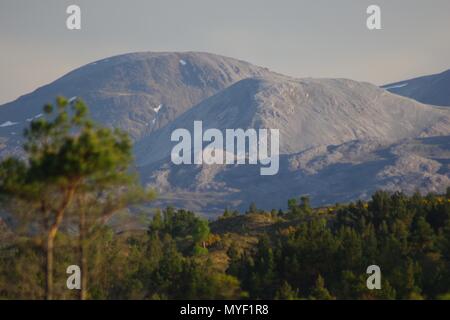 Mountain Massif with Last Snow Patches, Beyond Scots Pine Forest. Beinn Eighe NNR, Kinlochewe, Scotland, UK. Stock Photo