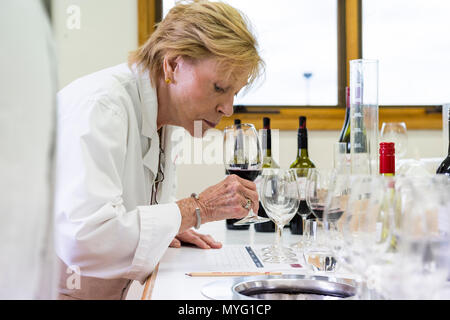 A woman samples the aroma of a red wine blend she is creating in a laboratory. Stock Photo