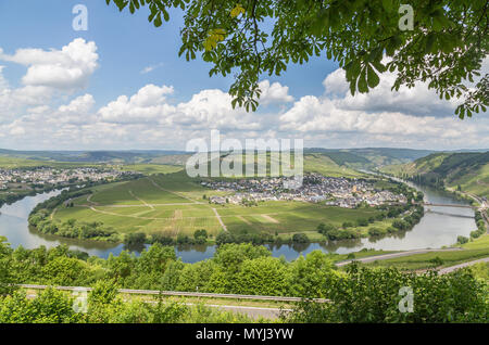 Moselle Loop at Trittenheim Panorama Germany. Stock Photo