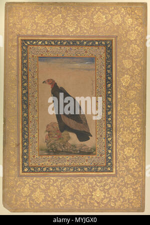 . English: Illustration by Ustad Mansur, known as Nãdir-al-’Asr ('Unequalled of the age'). 17th century Mughal artist. 1 May 2015. Ustad Mansur, Nãdir-al-’Asr 341 Mansur-25 Stock Photo