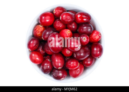 Cranberries cranberry berries from above bowl isolated on a white background Stock Photo