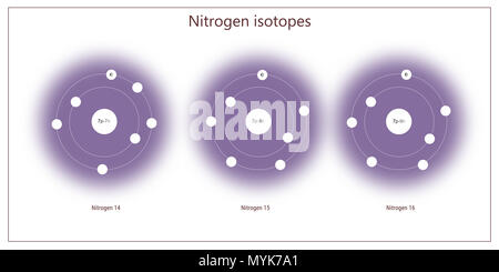 nitrogen isotopes atomic structure - elementary particles physics theory Stock Photo