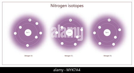 nitrogen isotopes atomic structure - elementary particles physics theory Stock Photo