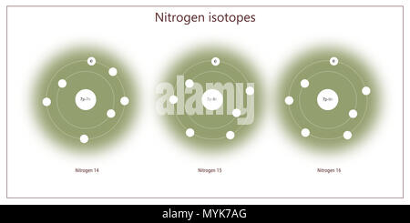 nitrogen isotopes atomic structure - elementary particles physics theory Stock Photo