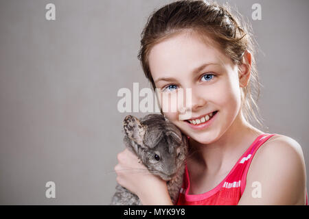 Cute smiling little girl holds funny gray chinchilla. Stock Photo