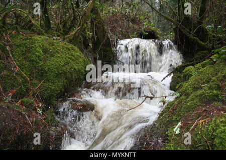 Waterfall in woodlands on the Brecon beacons national park, Stock Photo