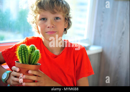 Portrait of a boy with cactus on balcony Stock Photo
