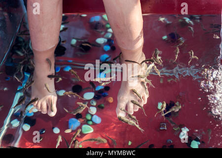 A close-up view of a child feet submerged in water during a fish spa treatment, where small fish nibble at the skin, providing a unique exfoliation Stock Photo