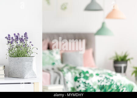 Purple flowers in grey material pot placed on the table standing in bright interior Stock Photo