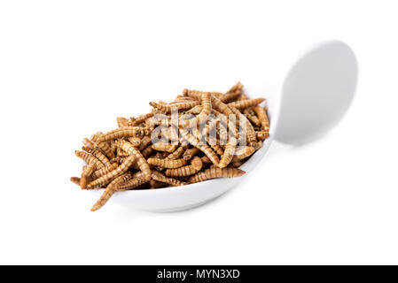 some fried worms seasoned with garlic and herbs in a white ceramic bowl, on a white background Stock Photo