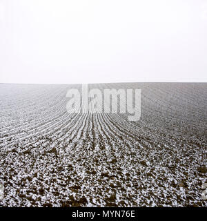 Agricultural field in winter, Auvergne-Rhône-Alpes, France Stock Photo