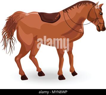 Horse isolated Vector. Elegant Detailed animal illustration Stock Vector