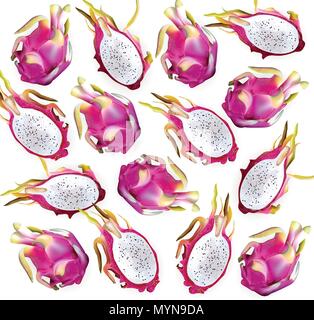 Dragon fruit pattern Vector. Delicious exotic tropical fruits detailed illustration Stock Vector