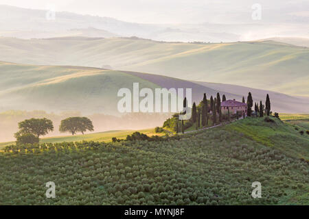 Mist and sunlight in the valley over Val d'Orcia in the early morning dawn, San Quirico d'Orcia, near Pienza, Tuscany, Italy in May Stock Photo