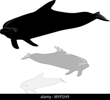 Dolphin in action Stock Vector