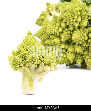Break off a small branch of the Romanesco cabbage on a white background Stock Photo