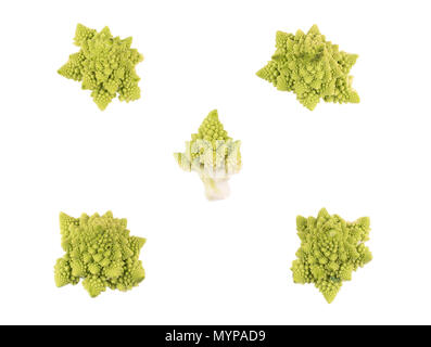 Collection of five different branches of fresh Romanesco cabbage isolated on white background Stock Photo