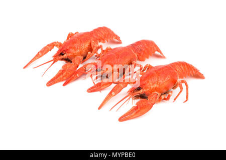 Three fresh boiled crawfish on a white background Stock Photo