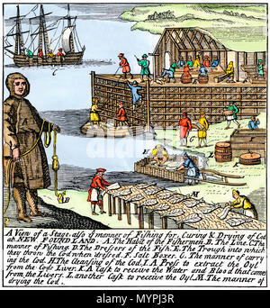 Cod fishermen drying and salting fish on the Newfoundland coast, 1700s. Hand-colored woodcut Stock Photo