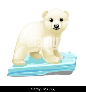 Cute polar bear floats on a drifting ice floe isolated on white background. Vector illustration. Stock Vector