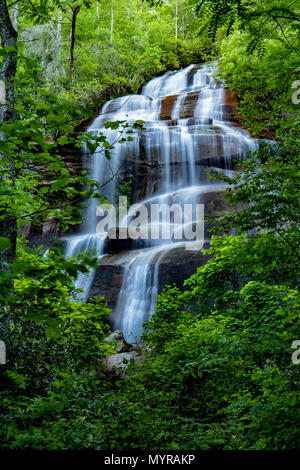 Daniel Ridge Falls or Tom's Spring Falls - Pisgah National Forest - near Brevard, North Carolina, USA Stock Photo