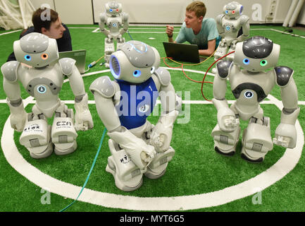 06 June 2018, Leipzig, Germany: In the robotics laboratory of the University of Applied Sciences HTWK in Leipzig, the computer science students Daniel Weiß and Marvin Jenkel (r-ll) of the Nao team control the soccer robots' software, running ability and real-time capability Participation in the World Cup 'RoboCub 2018' in Montreal (18.-22.06.2018). The student team is traveling to Canada with nine robot footballers and hoping for a football title at the World Cup of Intelligent Robots. Photo: Waltraud Grubitzsch/dpa-Zentralbild Stock Photo