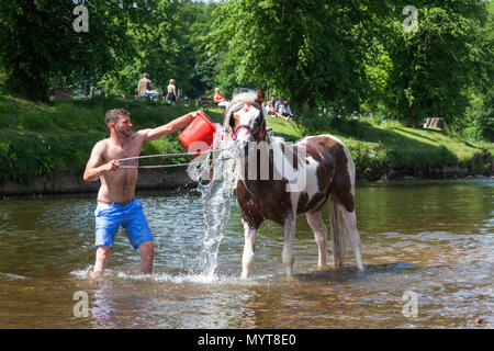 Appleby-in-Westmorland, U.K. 7th June 2018. Travellers wash their horses in the River Eden  at the Appleby Horse Fair. The fair has existed since 1685 under a charter granted by King James II. Starting the first week in June and running for a week the fair is visited by Romany Gypsies, Horse Dealers and Travellers from across Europe. Credit: Mark Richardson/Alamy Live News