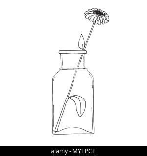 Sketch of a flower in a large transparent jar. Vector Stock Vector