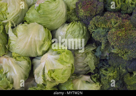 Cabbage is two varieties: on the left green cabbage is a young cabbage, on the right is a dark green cabbage broccoli. Stock Photo