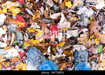 Shoes, fallen autumn brown, orange, red, golden many leaves on ground with man's feet flat lay top view down in Harper's Ferry, West Virginia Stock Photo