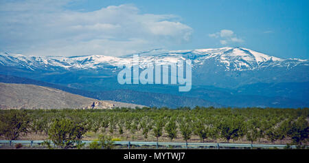 snow capped mountain range in Spain with orchards Stock Photo
