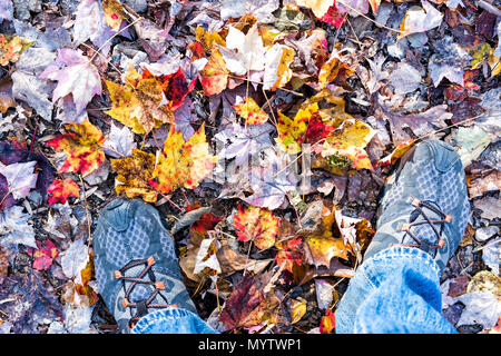 Fallen autumn brown, orange, red, golden many leaves on ground with man's feet shoes flat lay top view down in Harper's Ferry, West Virginia Stock Photo