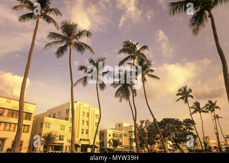 1992 HISTORICAL TALL PALM TREES ART DECO HOTELS OCEAN DRIVE SOUTH BEACH MIAMI BEACH FLORIDA USA Stock Photo