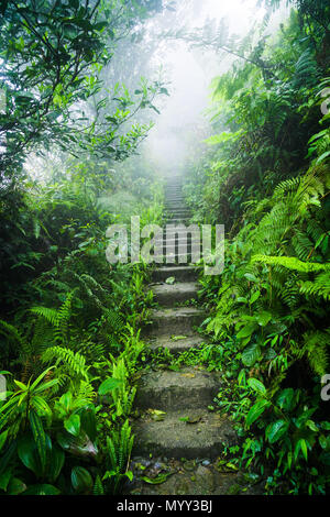 A stone path leading to a viewpoint at 'Heaven's Gate' in Ha Giang Province, North Vietnam Stock Photo