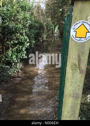 Flooded footpath in Hertfordshire following storm Katie Stock Photo