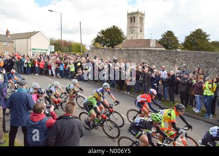 Sprotbrough, Doncaster, South Yorkshire: 30 April 2016: tour de Yorkshire - large crowds cheer on the women's riders including the eventual winner Kirsten Wild (no 31 in centre) in Sprotbrough village Credit:  Kay Roxby / StockimoNews/Alamy Live News Stock Photo