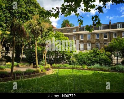 London, UK. 24th May, 2016. Glorious Canonbury Square in late afternoon sunlight May 24th 2016 Credit:  Charlotte Machin/StockimoNews/Alamy Live News Stock Photo