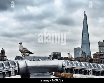 London, UK. 25th May, 2016. View from the Millenium Bridge towards the Shard at London Bridge, with seagulls Credit:  Charlotte Machin/StockimoNews/Alamy Live News Stock Photo