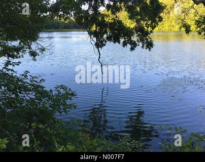 Raafenberg Rd, Sleepy Hollow, New York, USA. 09th June, 2016. New York weather: a beautiful June evening with cool comfortable weather and a refreshing breeze by Swan Lake in Pleasantville NY. Alamy Live News/Marianne Campolongo Credit:  Marianne A. Campolongo/StockimoNews/Alamy Live News Stock Photo
