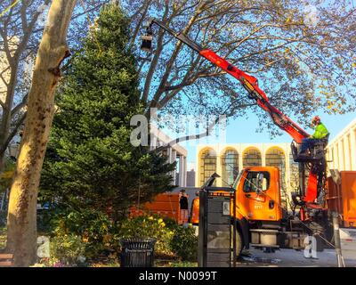 New York, USA. 14th Nov, 2016. Workmen put up the Christmas Tree at Dante Park at Lincoln Center, New York, NY Credit:  BumbyPix/StockimoNews/Alamy Live News Stock Photo