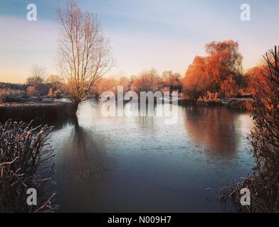 Station Ln, Godalming, UK. 30th Nov, 2016. UK Weather autumnal colours ...