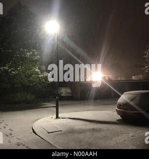 Guildford, UK. 12th Jan, 2017. UK Weather: Snow in Guildford. Levylsdene, Merrow. 12th January 2017. Heavy snow hit the Home Counties during rush hour. Snowfall in Merrow in Surrey. © jamesjagger/StockimoNews/Alamy Live News Stock Photo