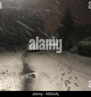 Guildford, UK. 12th Jan, 2017. UK Weather: Snow in Guildford. Levylsdene, Merrow. 12th January 2017. Heavy snow hit the Home Counties during rush hour. Snowfall in Merrow in Surrey. © jamesjagger/StockimoNews/Alamy Live News Stock Photo