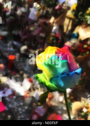 Kingsdown Cl, London, UK. 17th June, 2017. The flower unity, peace and love. Credit: Filstography/StockimoNews/Alamy Live News Stock Photo