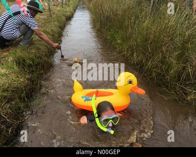 World Bog Snorkelling Championship, Llanwrtyd Wells, Powys, Wales August 2017- Competitor with her inflatable duck crosses the finish line at the bog snorkelling Stock Photo