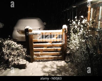 Overnight snow in Herefordshire - Titley Herefordshire December 2017, Deep snow at 05.45AM with more still falling as dawn approaches. Stock Photo