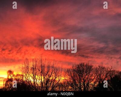 UK Weather: Sunset over Godalming. Sycamore Avenue, Godalming. 19th December 2017. A cold but clear day for the Home Counties today. A dramatic sunset over Godalming in Surrey. Credit: jamesjagger/StockimoNews/Alamy Live News Stock Photo