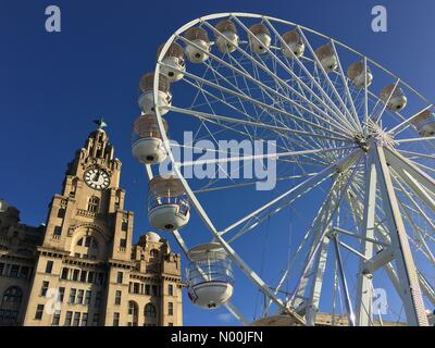 UK Weather: Sunny in Liverpool. Big wheel ride in front of the Three Graces (Royal Liver building) in Liverpool. Stock Photo