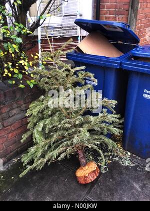 East Finchley, UK. 4th Jan, 2018. Discarded Christmas tree outside a house in East Finchley in London on January 4 2018 Credit: Louisa Cook/StockimoNews/Alamy Live News Stock Photo