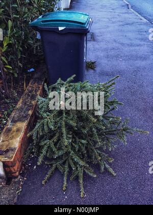 London, UK. 5th January, 2018. A discarded Christmas Tree outside a house in Muswell Hill in London early on January 5 2017 Credit: Louisa Cook/StockimoNews/Alamy Live News Stock Photo